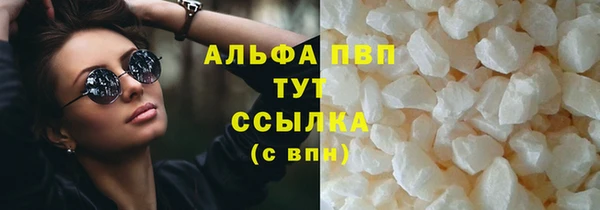 гидра Семилуки