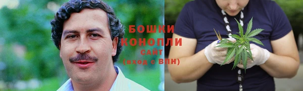 гидра Семилуки