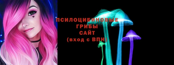 гидра Семилуки