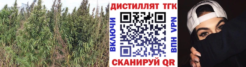 ТГК Wax как найти закладки Семёнов