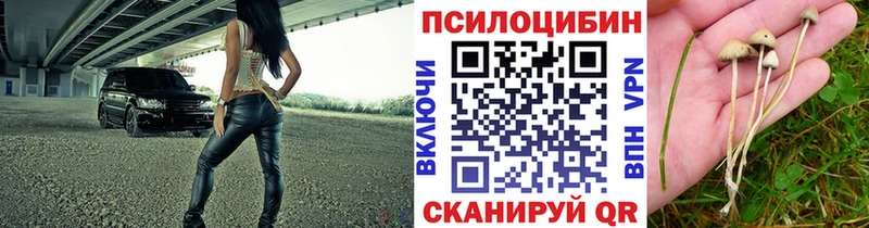 Псилоцибиновые грибы MAGIC MUSHROOMS  Семёнов 